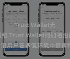 Trust Wallet无法连接网络 Trust Wallet何如相沿用户在多链环境中措置和兑换钞票？